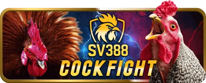 Hỗ trợ khách hàng VIP Win2888 Win